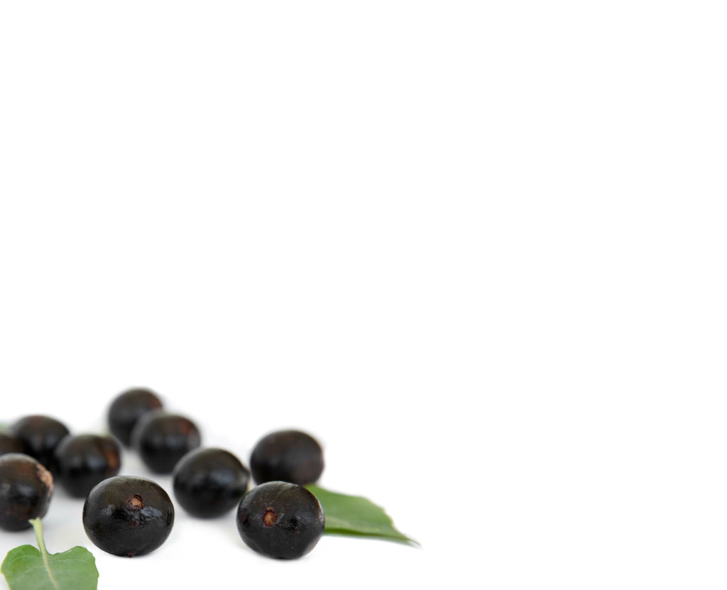 What is Açaí?
